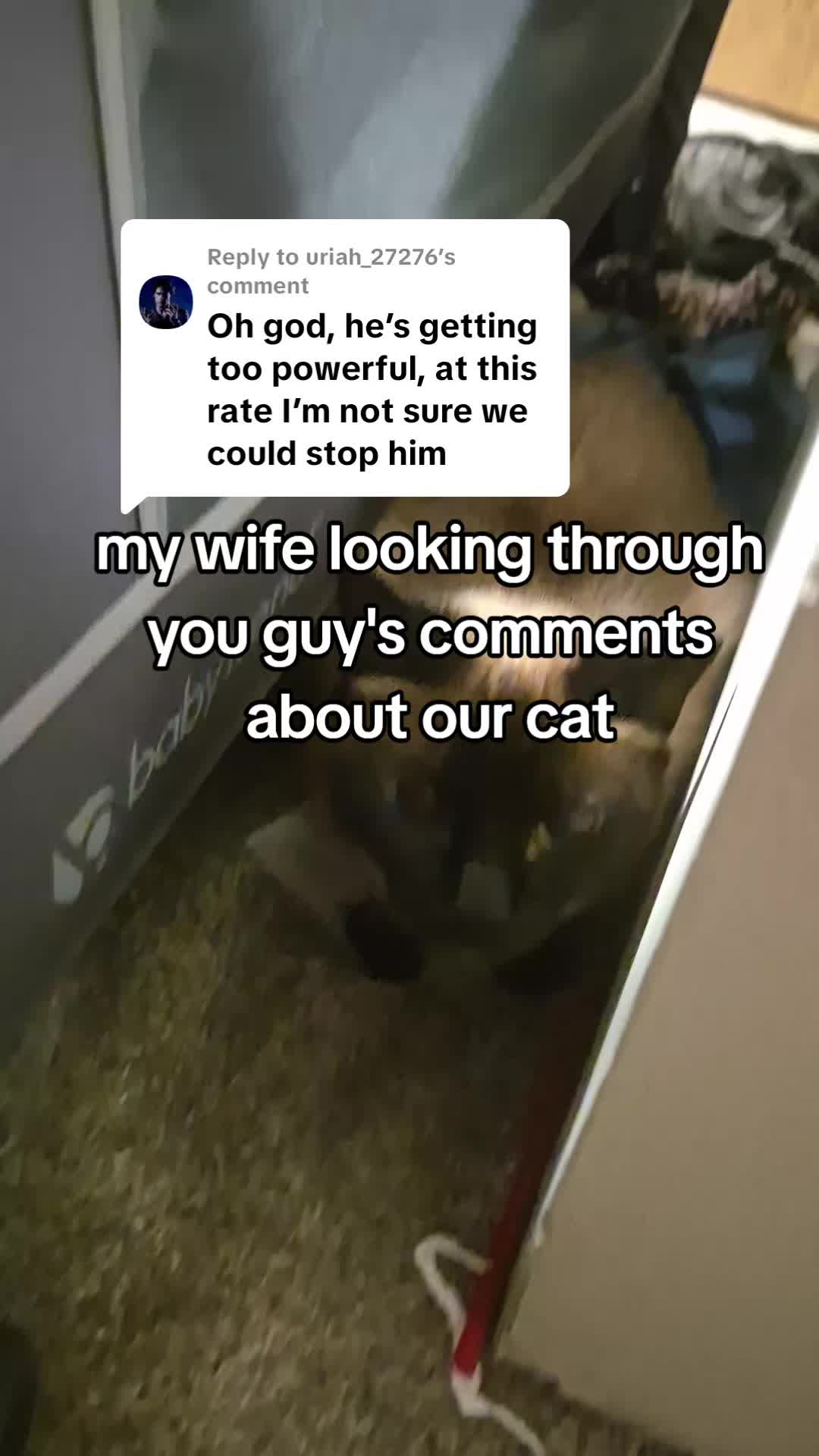 @Zan