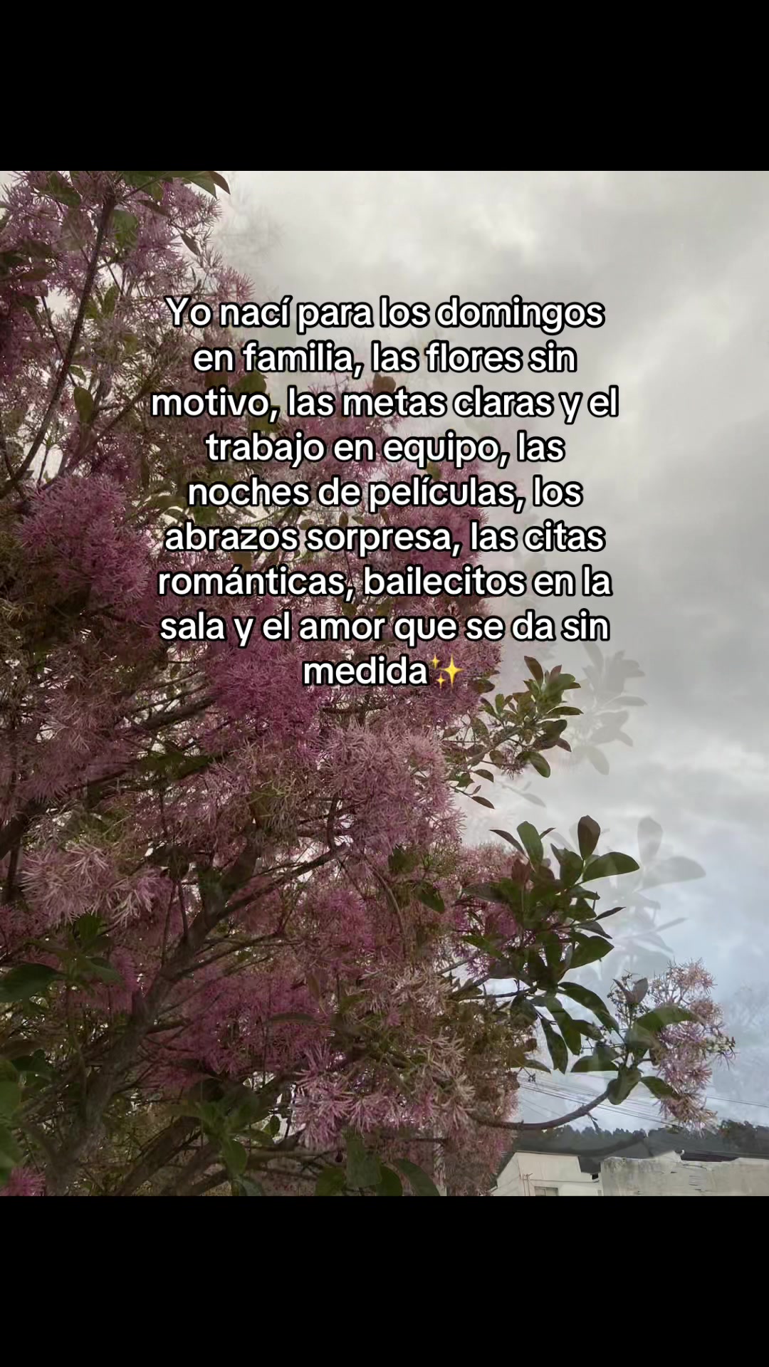 @Mishell