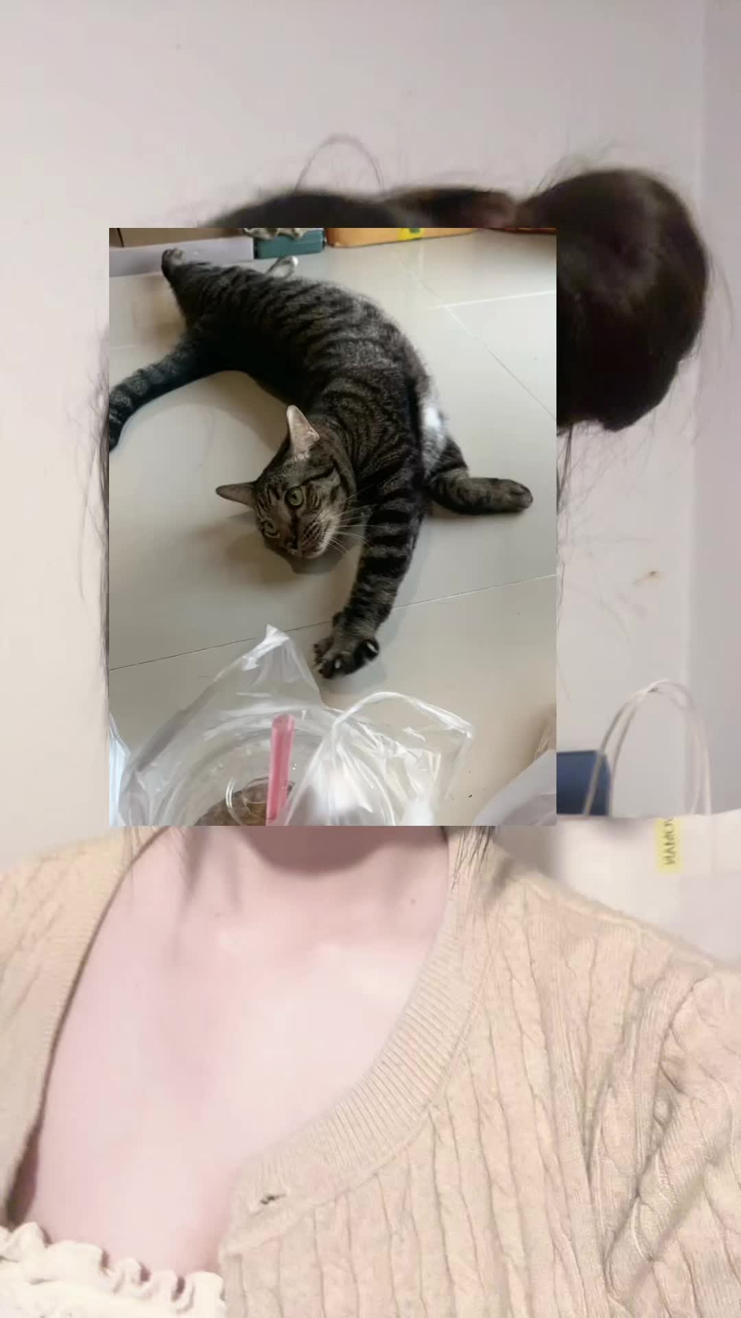 @นอมอออꪔ̤̥