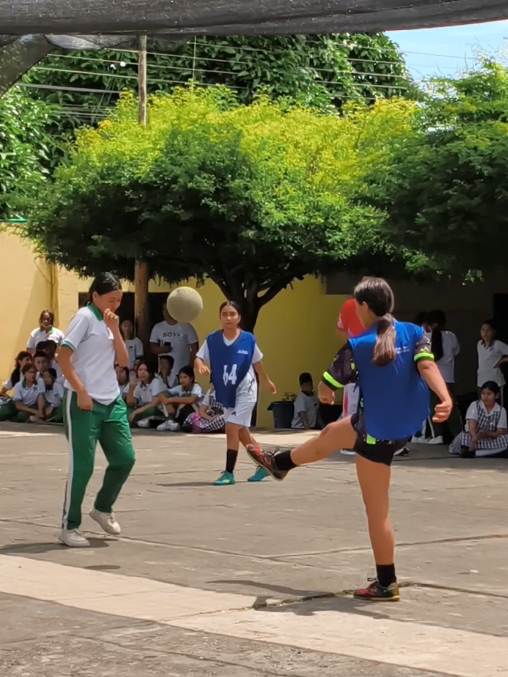 @Casi Educativo