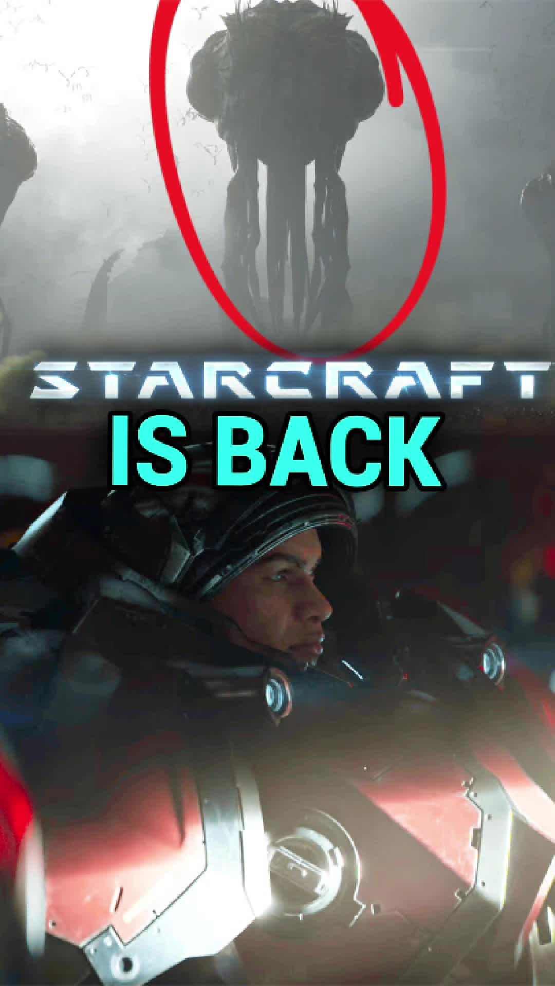 @Furo