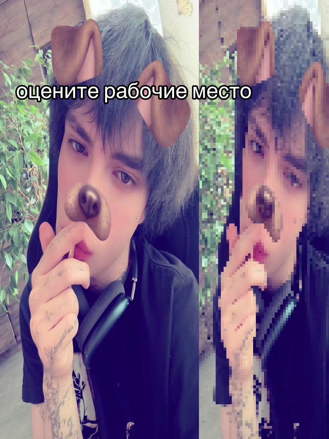 @сеня реферат
