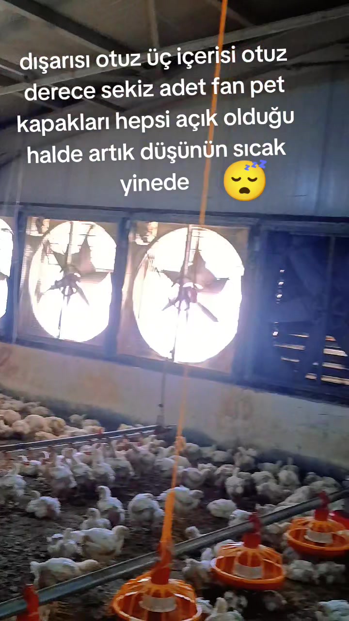 @AYKIZİN MASALI 🌹🌹