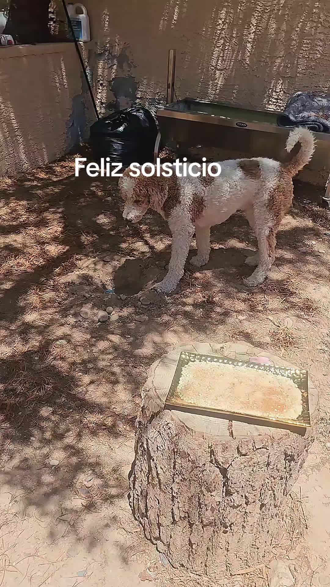 @RenaSer: La Casa Hol&iacute;stica