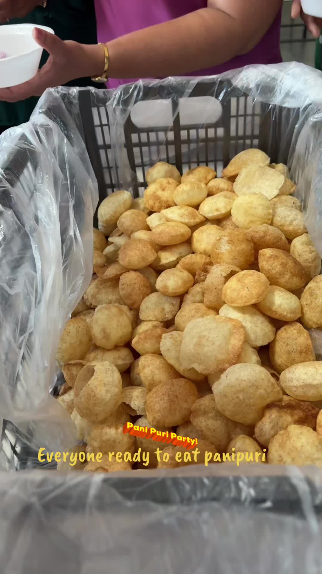 @msbolly