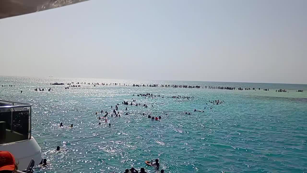 @Александр Масловский