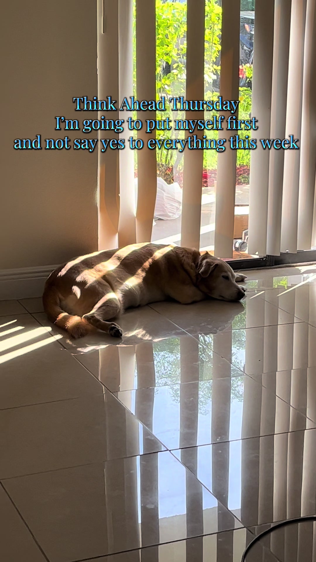 @FoodAllergyTraveler