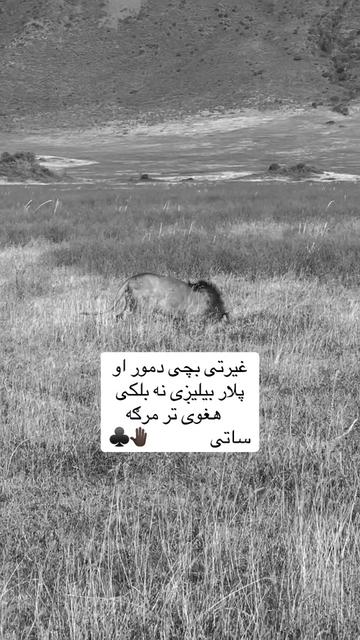 @🥷🏿کــــپــــچــــه🥷🏿