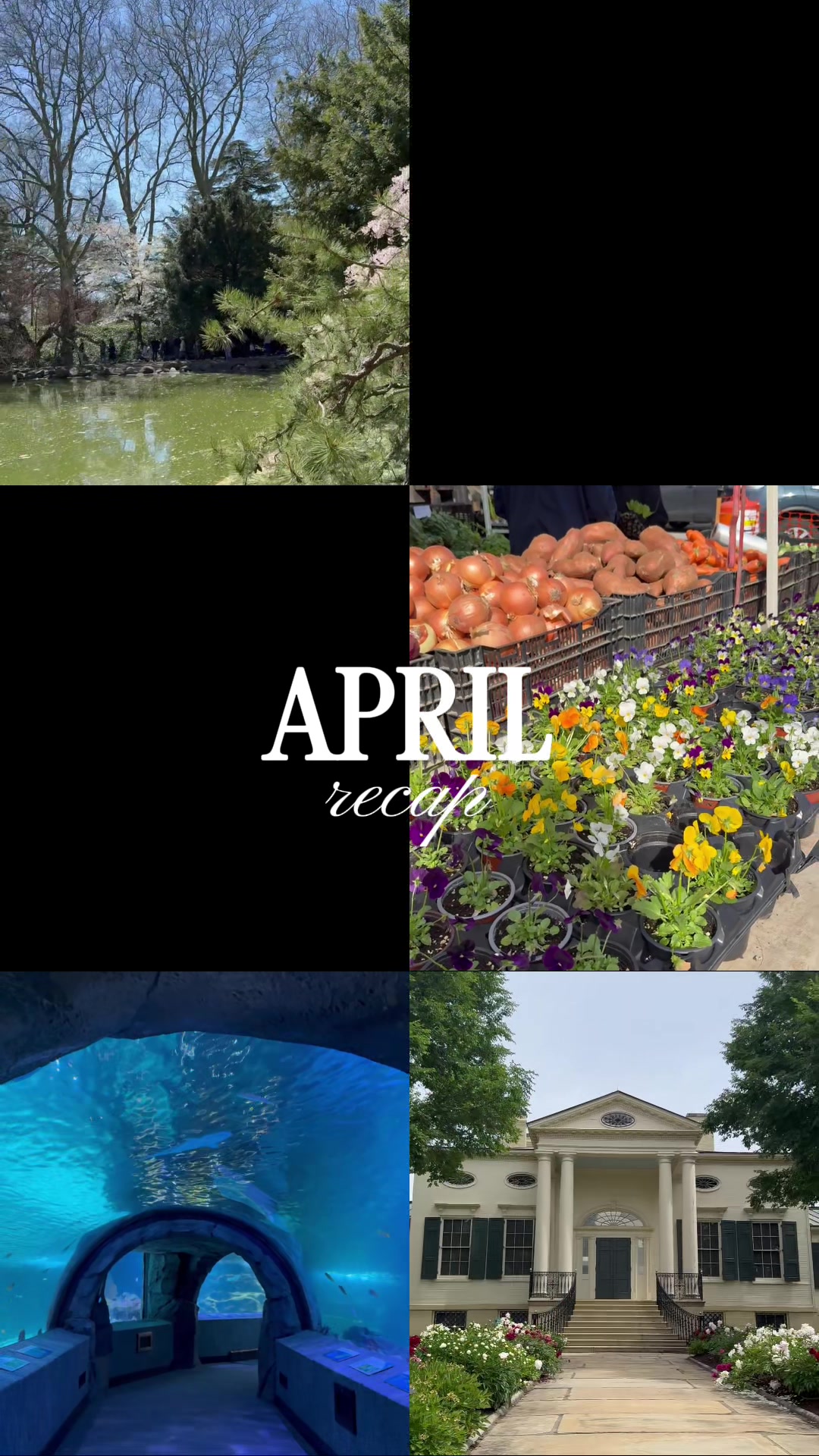 @Alyssa | travel & lifestyle