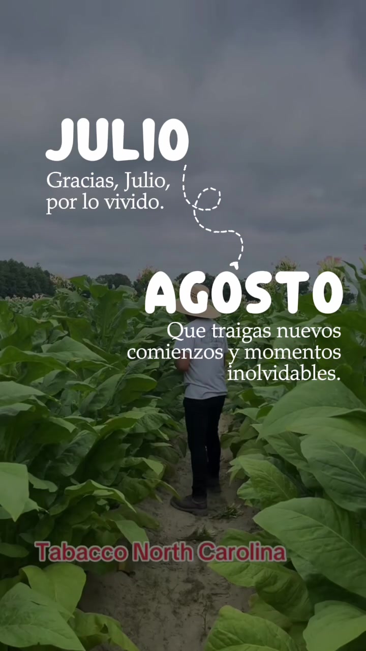 @adi_santos