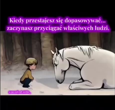 @Wioletta Aronowska