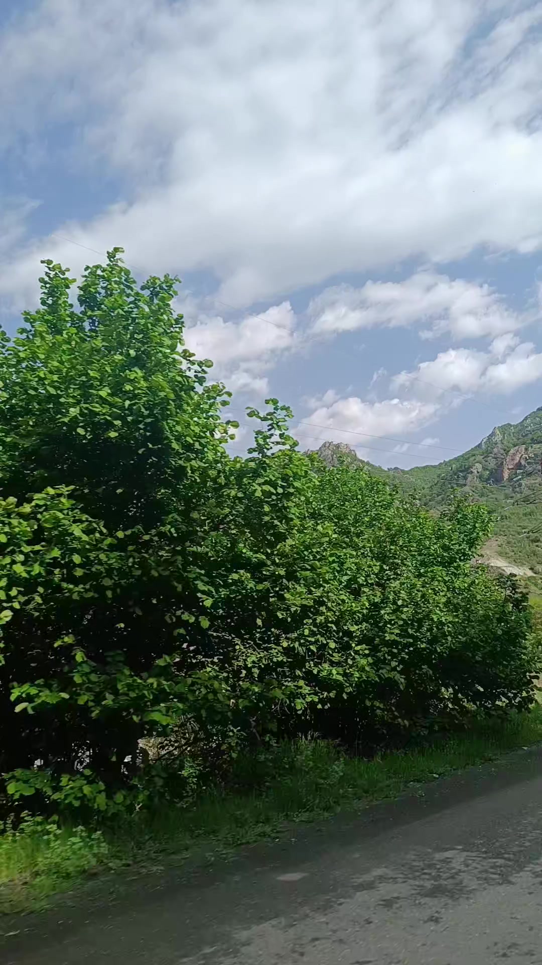 @MOBİL. BƏRDƏ