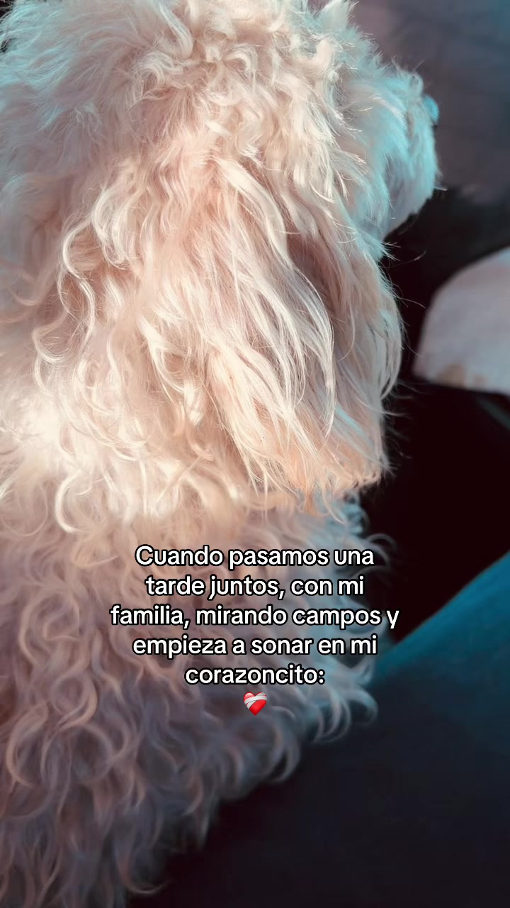 @Rubia ♡