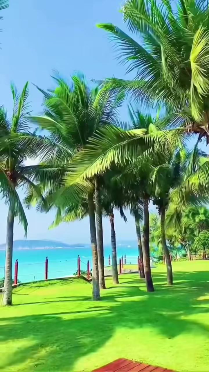 @Carmen Luna