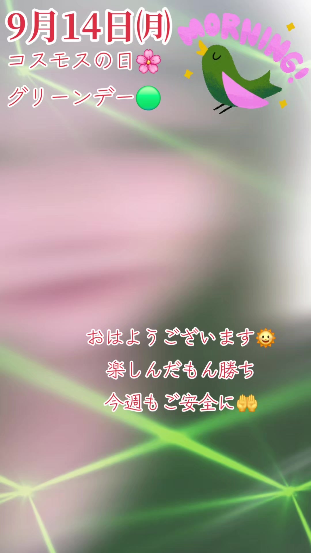 @ハッピーターン🐲💕💗
