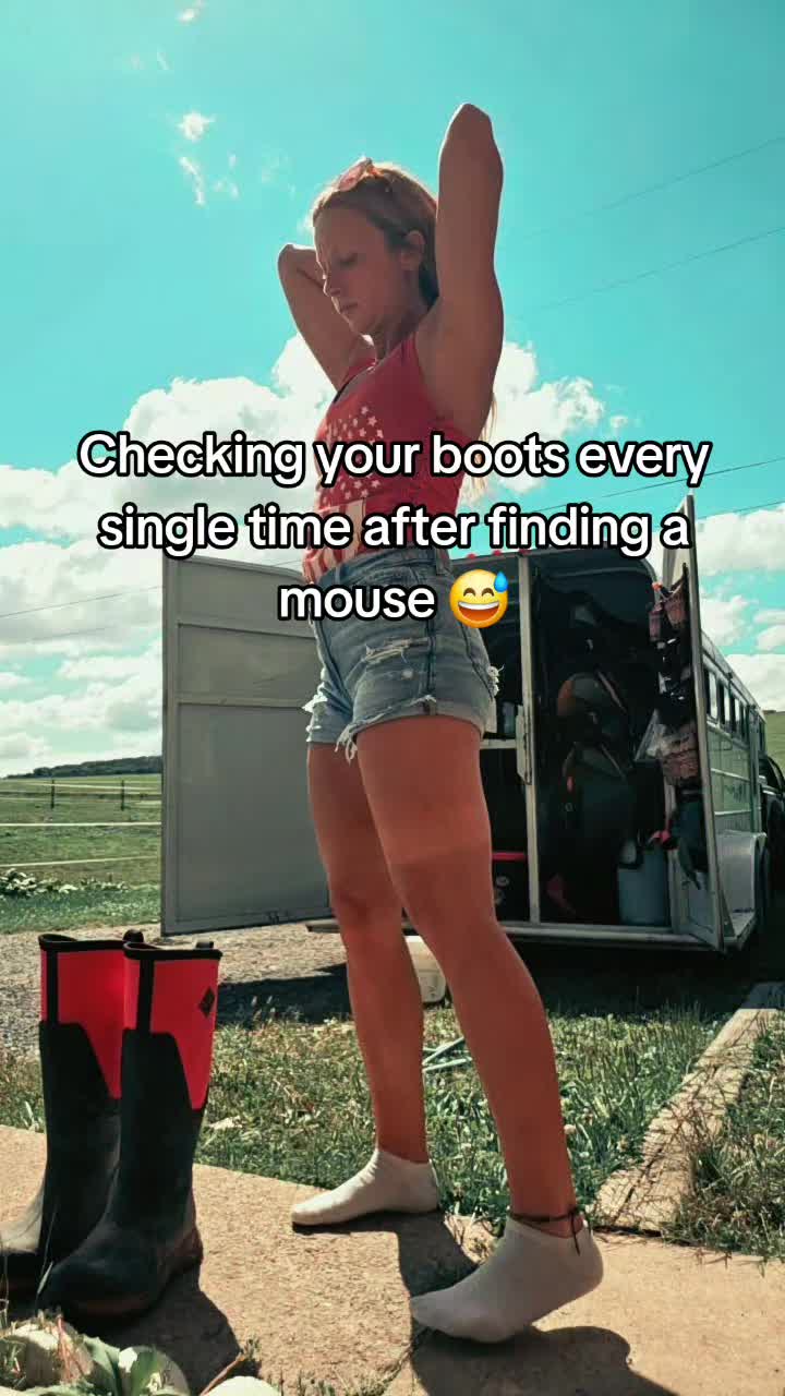 @TwinRoseRanch🌹🐎