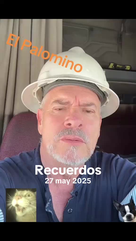@Carlos2158martinez