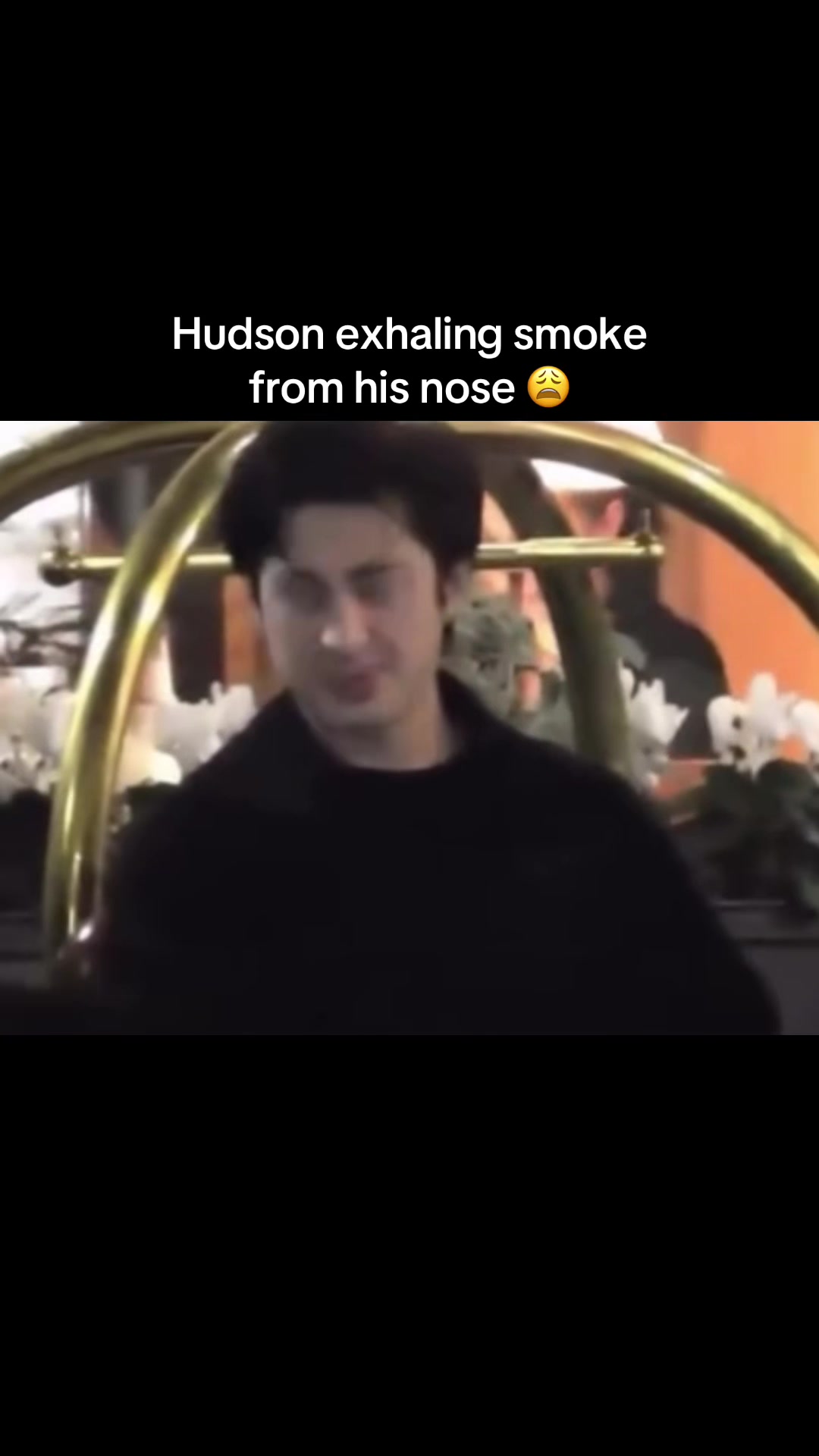 @puckbunn.y