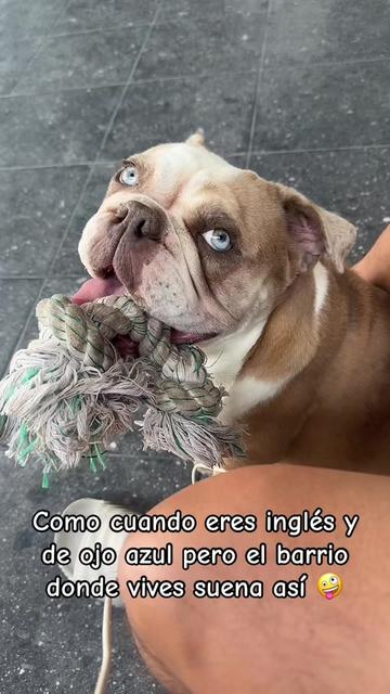 @MEDR
