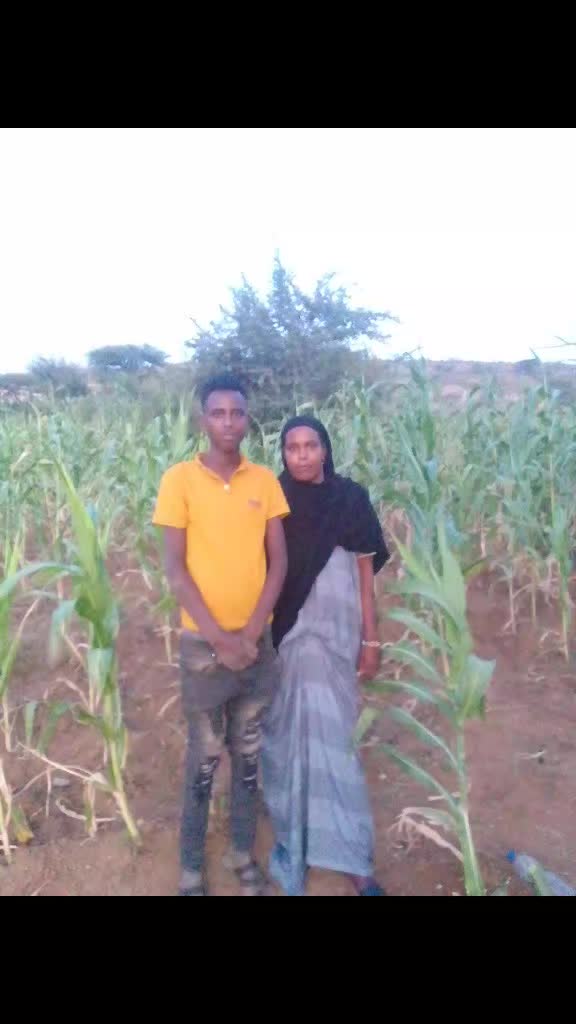 @Abdii Tofiq 0982