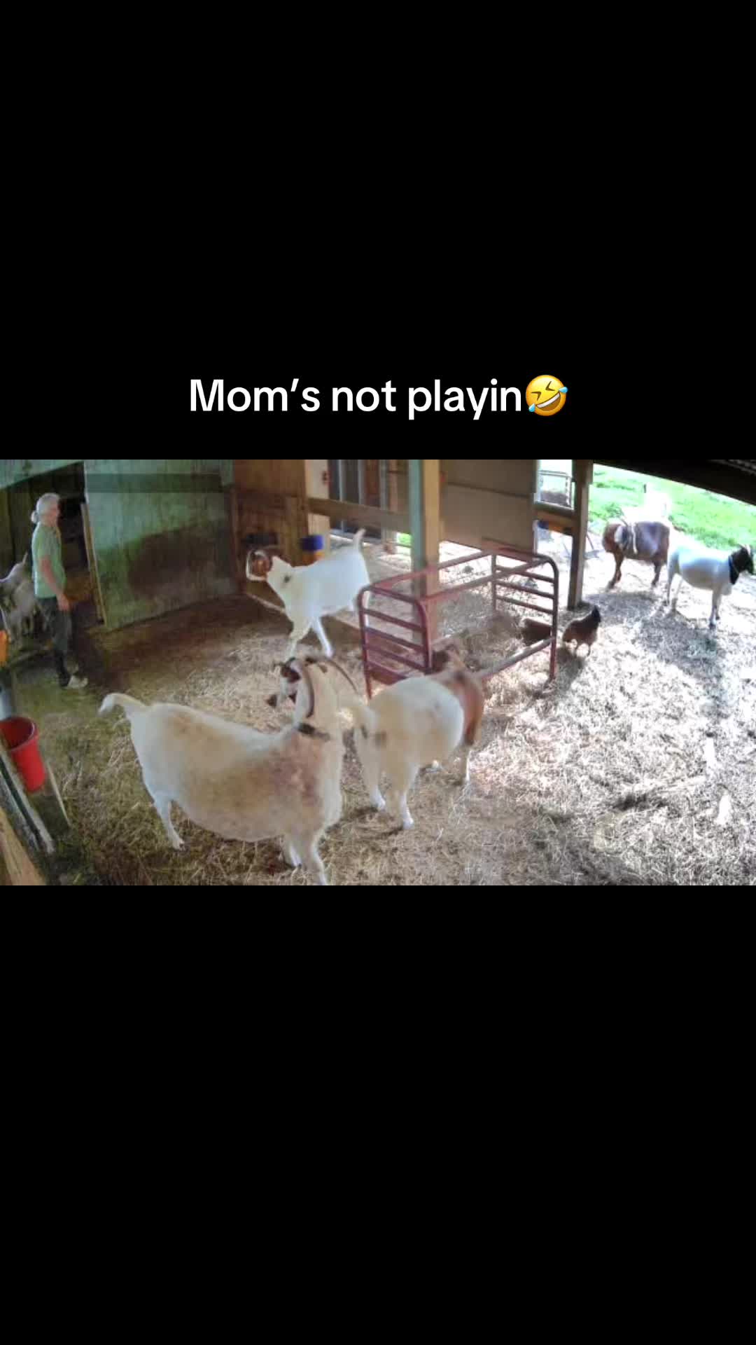 @Sarah ;)