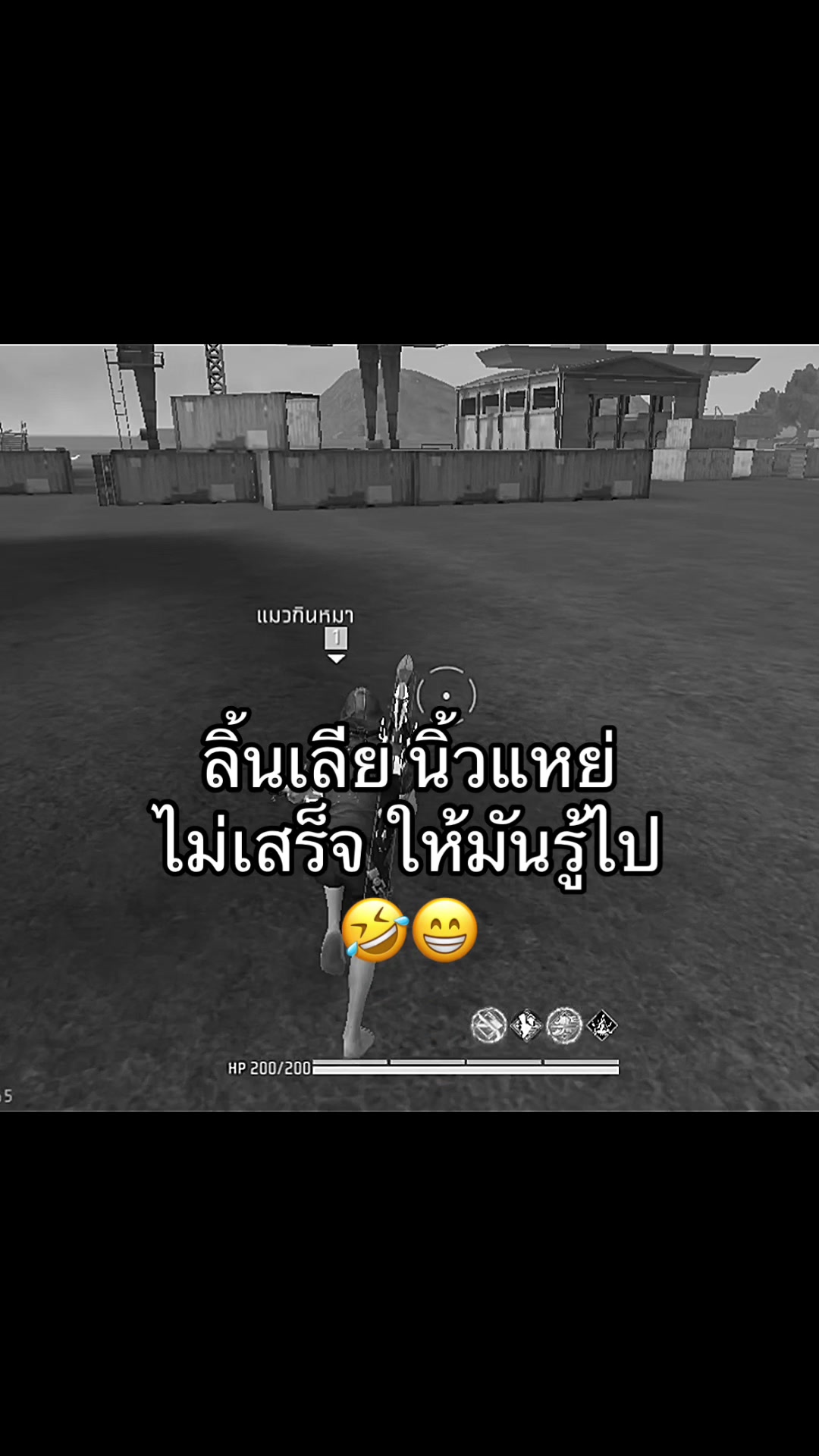 @แมวไม่มีเจ้าของ