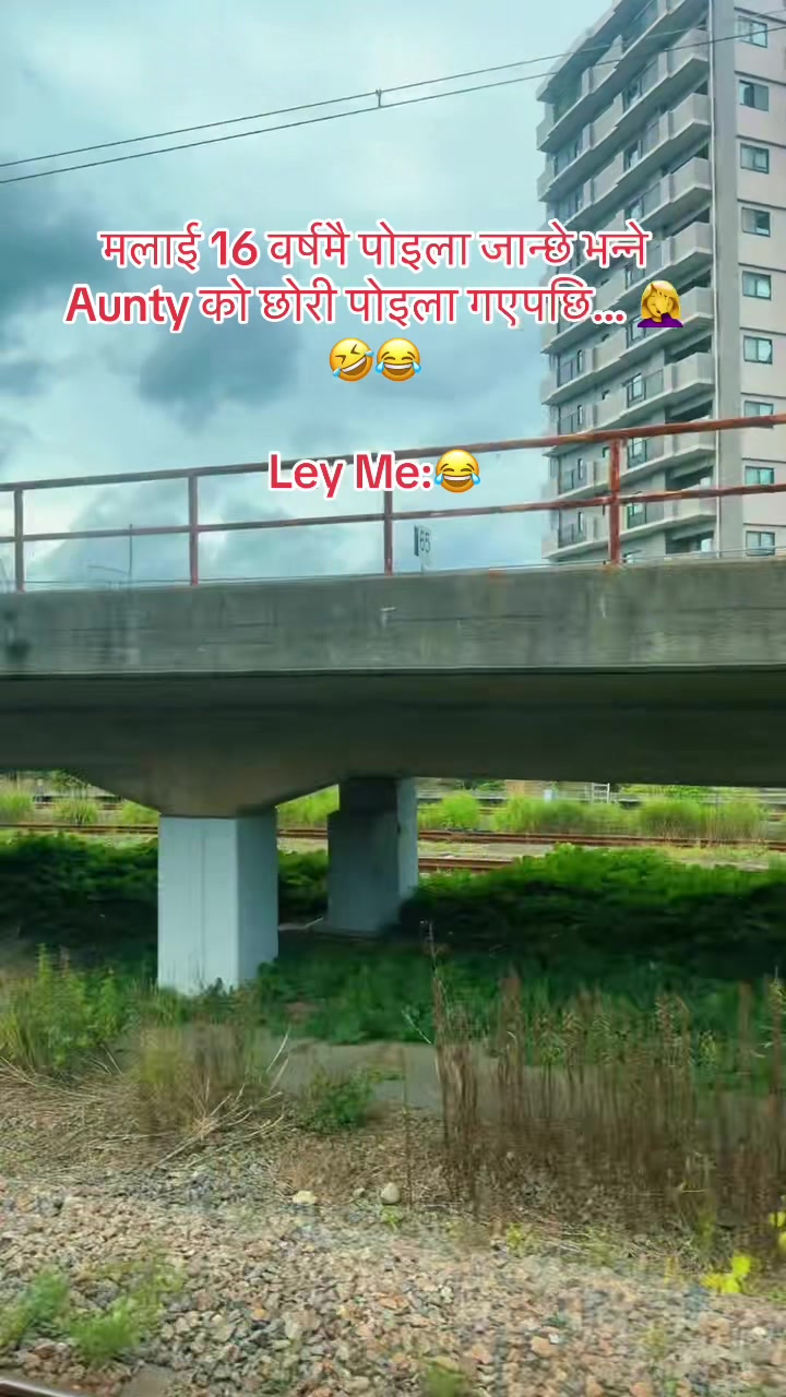 @🕊️
