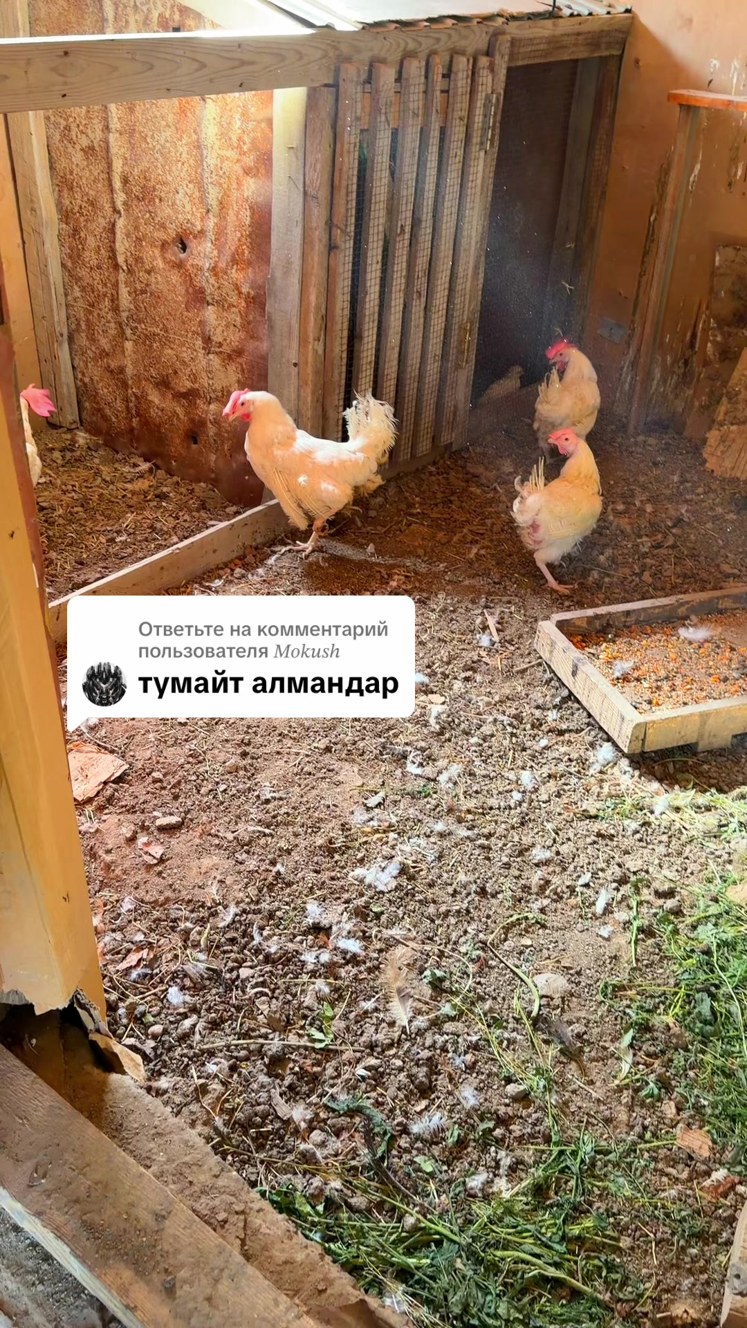 @AidanaUtegenovna