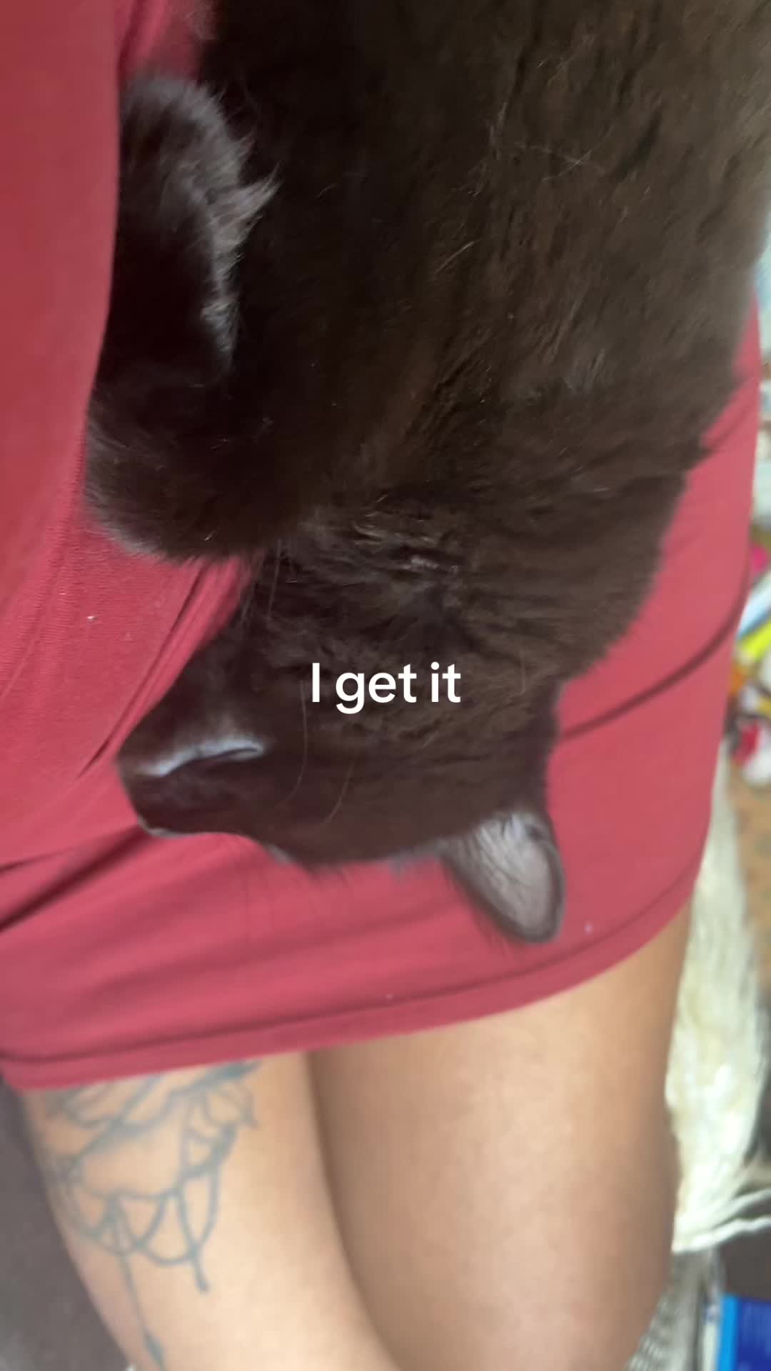 @The.Scroll