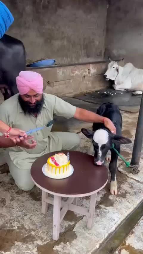 @Yeh Kali Kali ankhe 👀