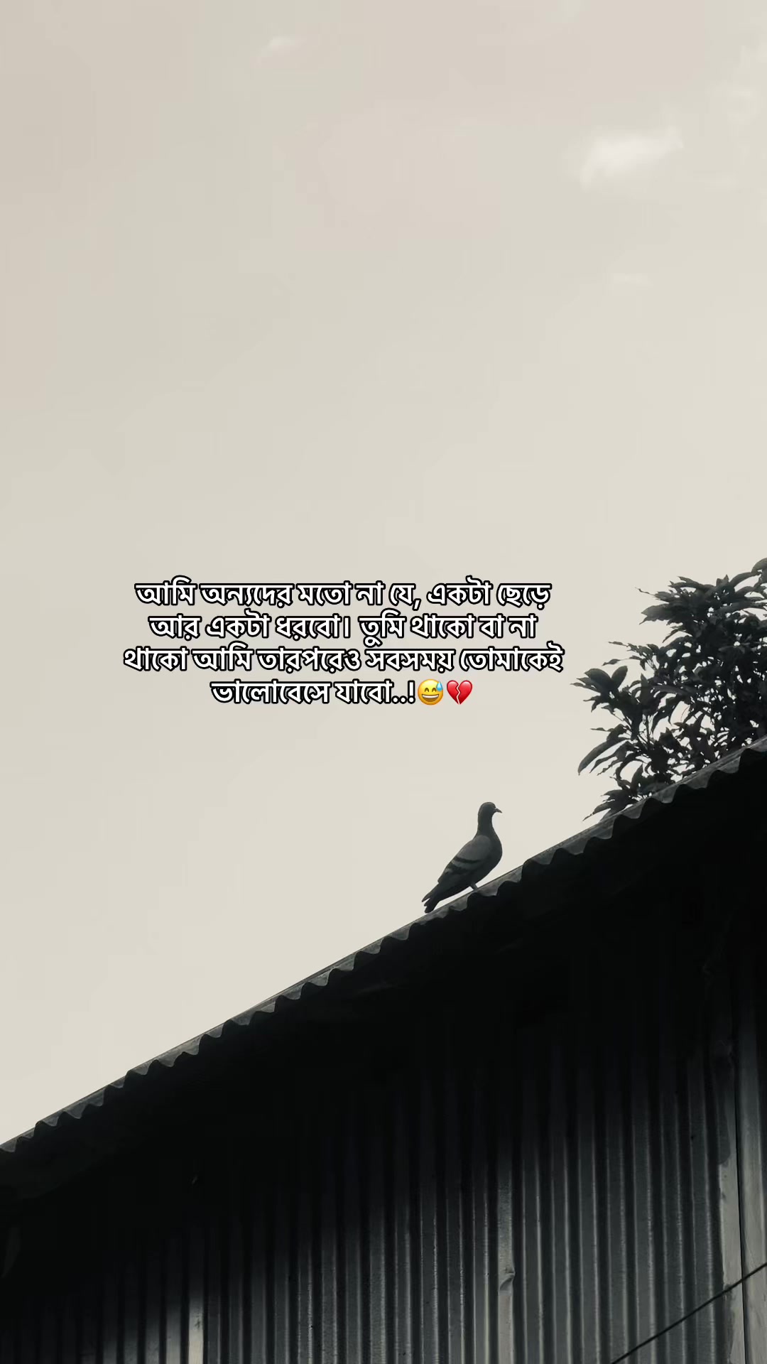 @đ
—Sad Caption—đ