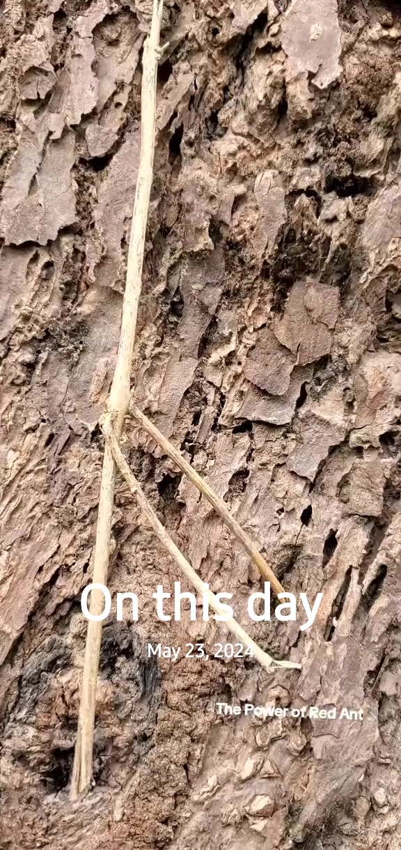 @Arif. Aziz. Khan🇹🇿