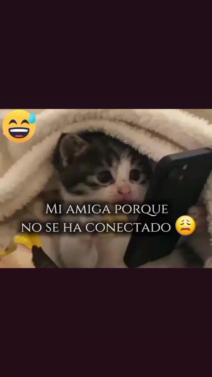 @Cuenta no encontrada