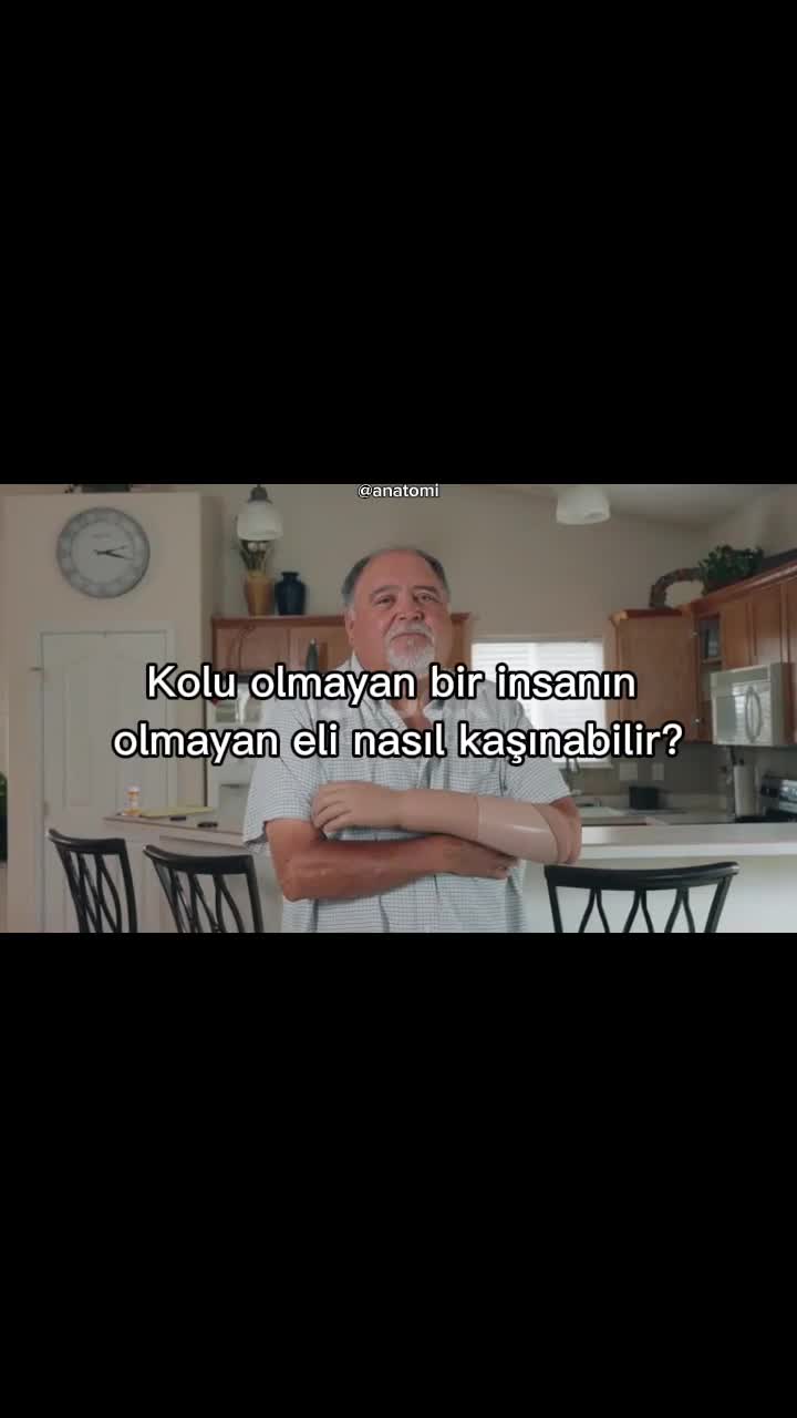 @Anatomi