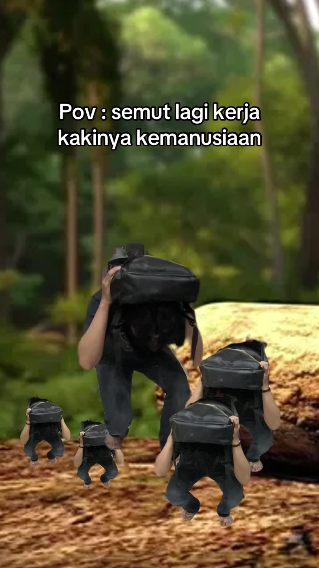 @sukatempe_0
