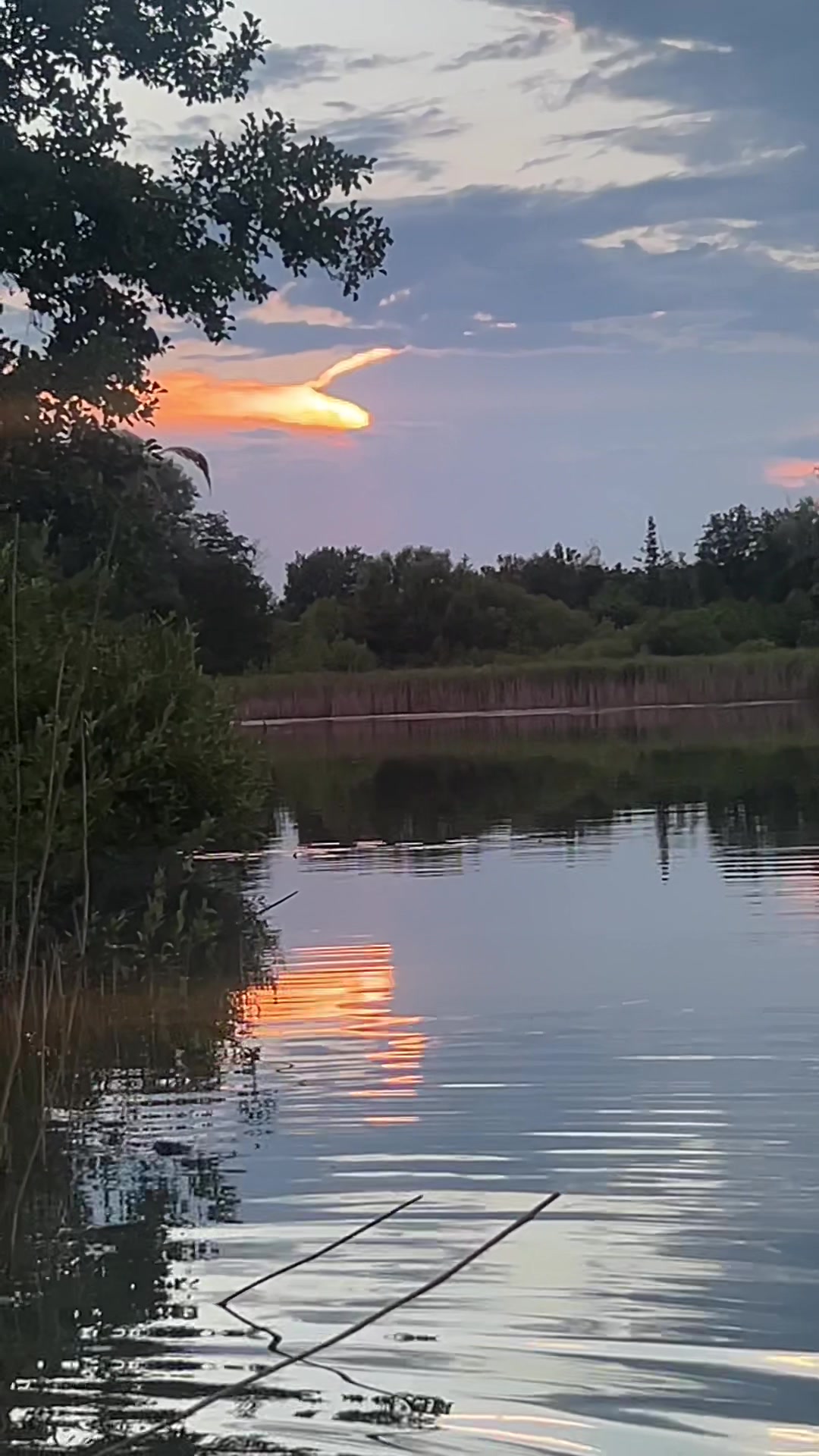 @ВладвМир