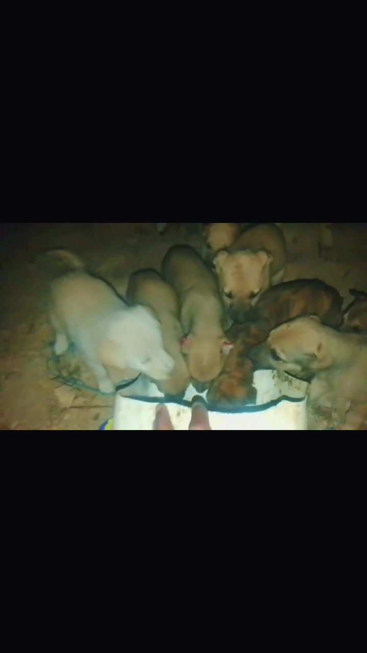 @Ãli khadroui ❤️🔥