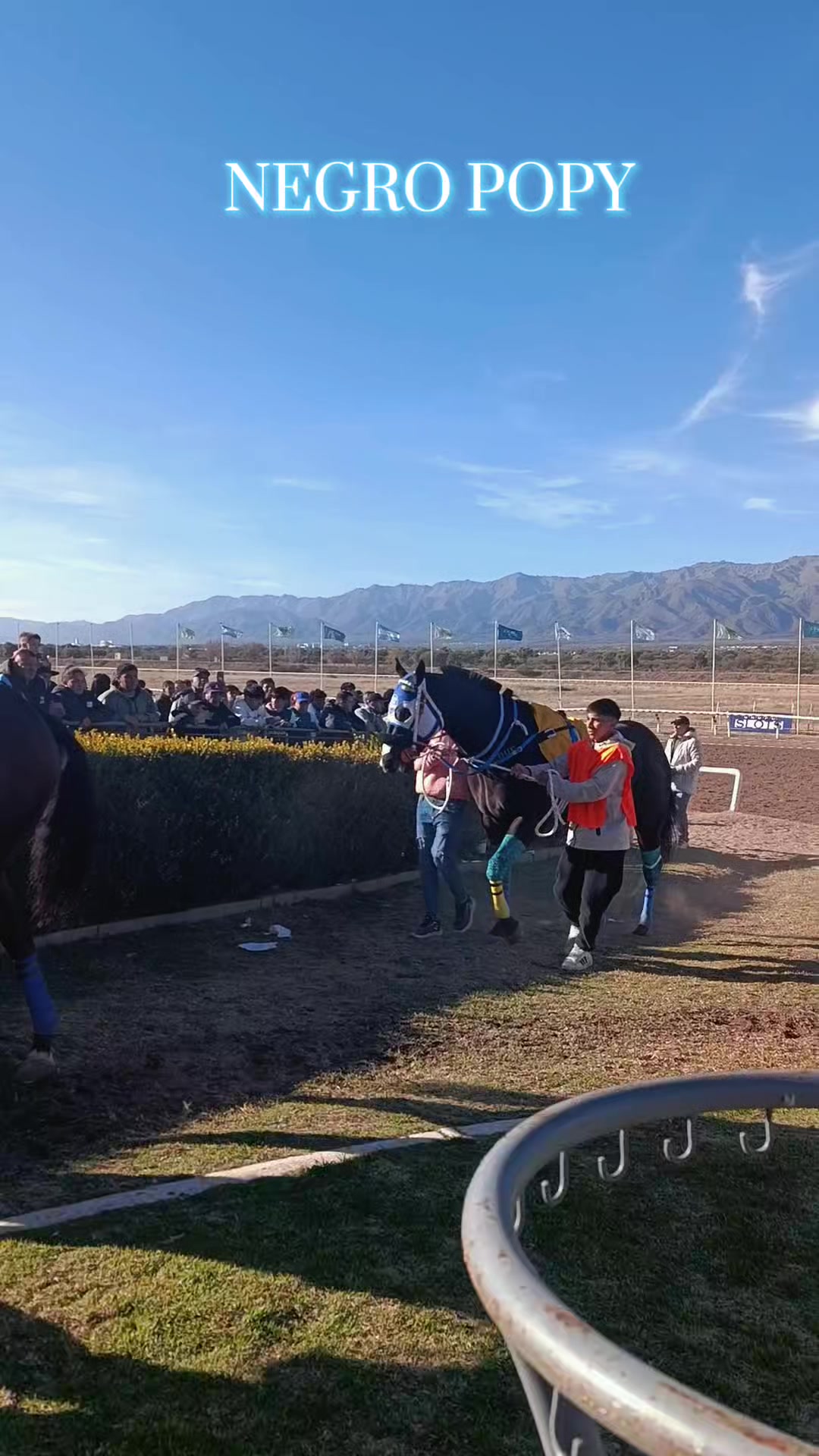 @Sofii Brito🏇🏽