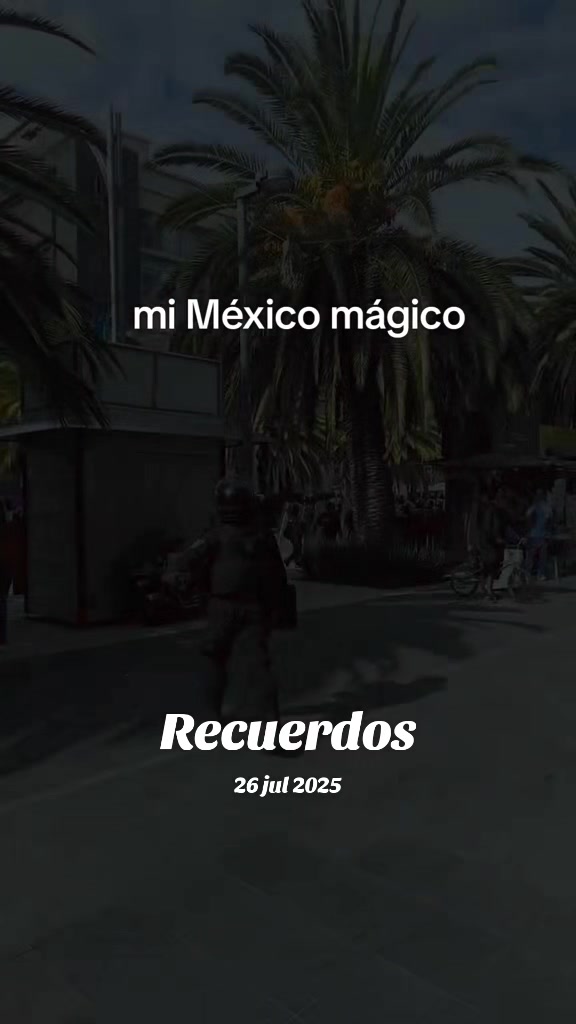 @El Androide Manco