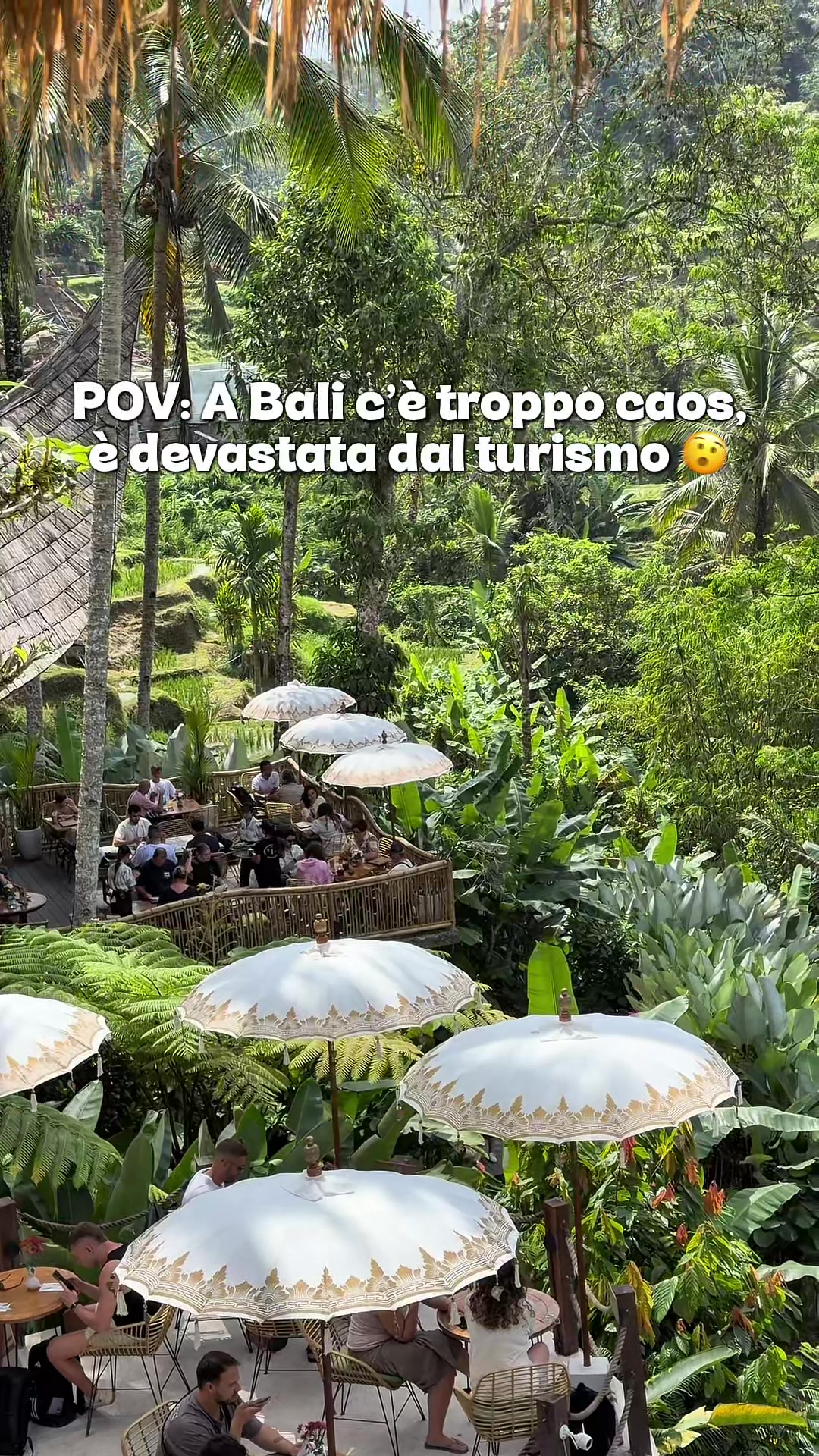 @Selena - Travel Blogger
