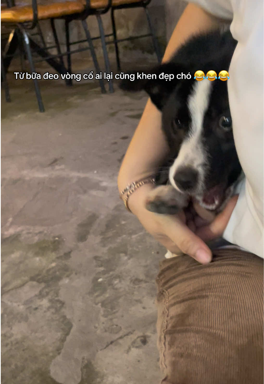 @Tiểu Chou.Chou