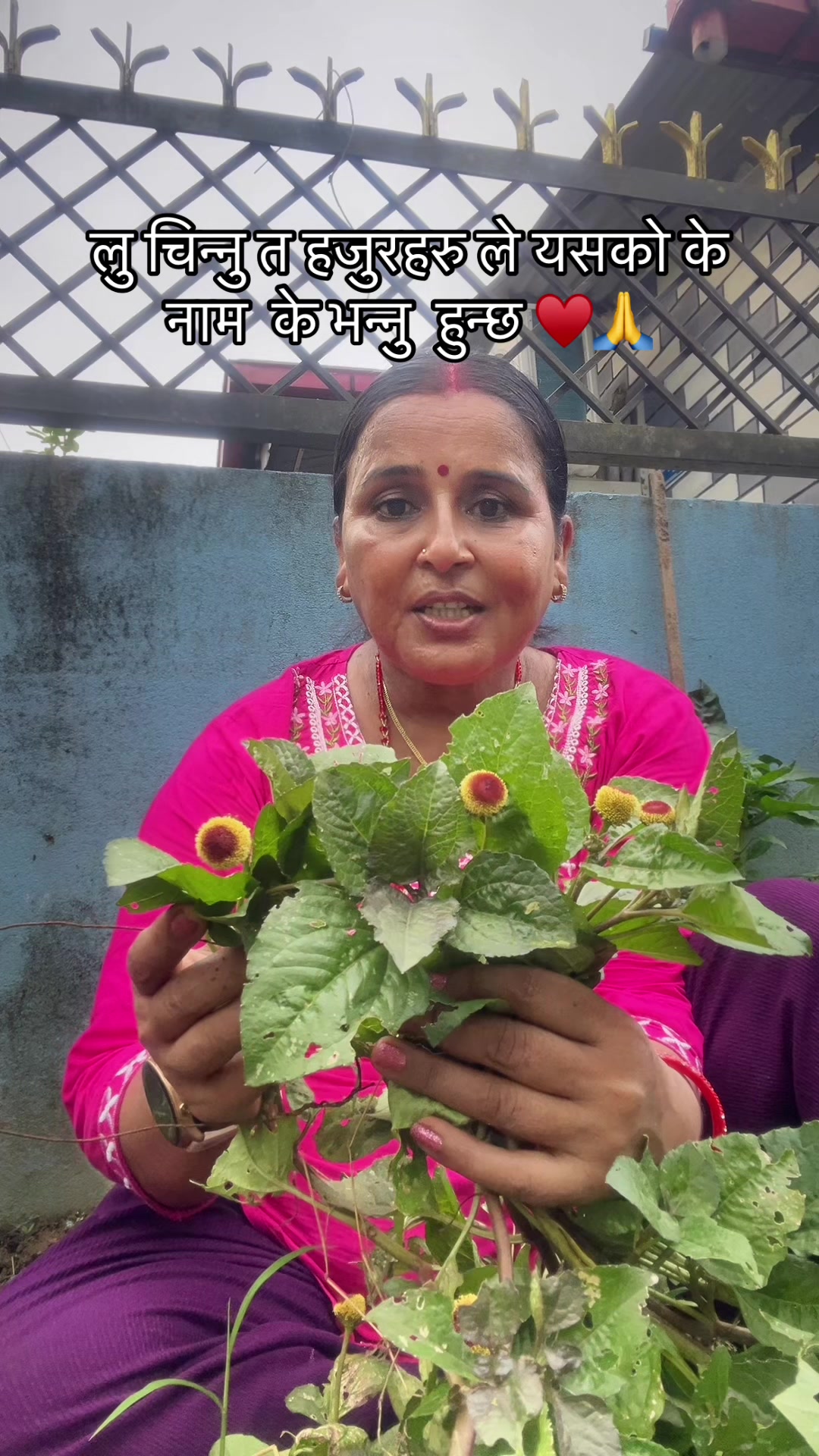 @Rachana