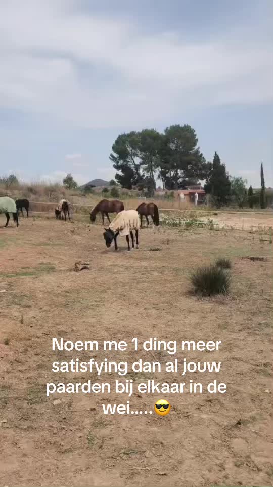 @Liesbeth-EquiViento🐴🇪🇸