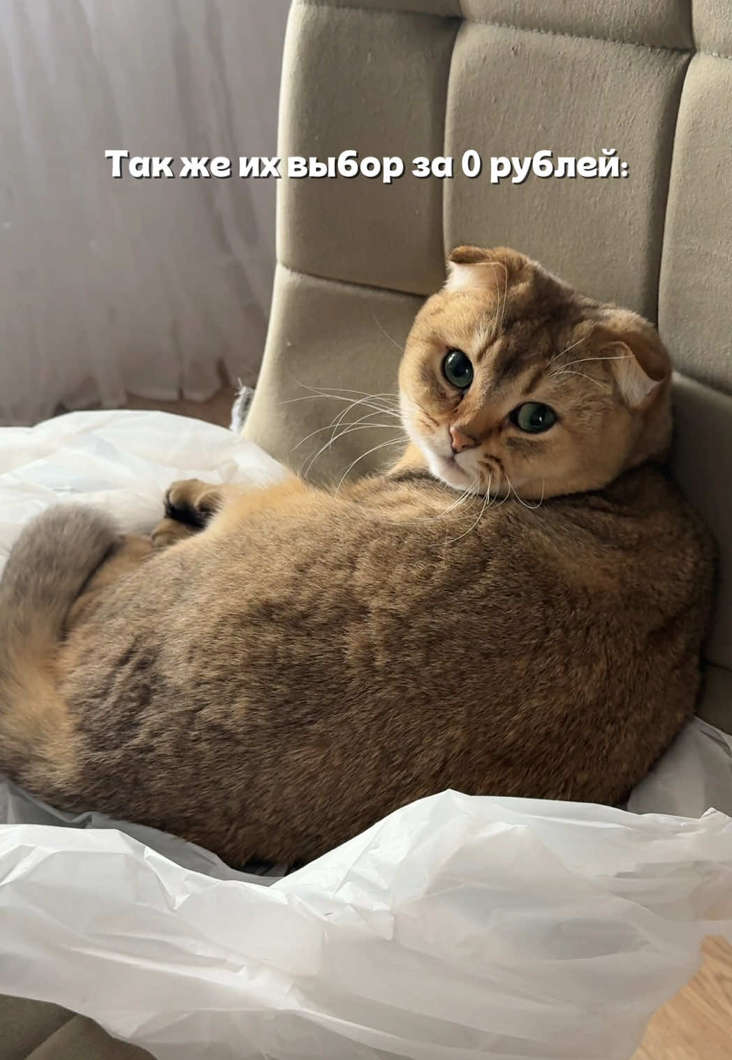 @Владочка