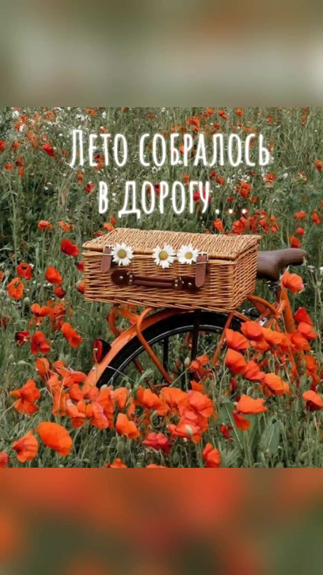 @Ксюша