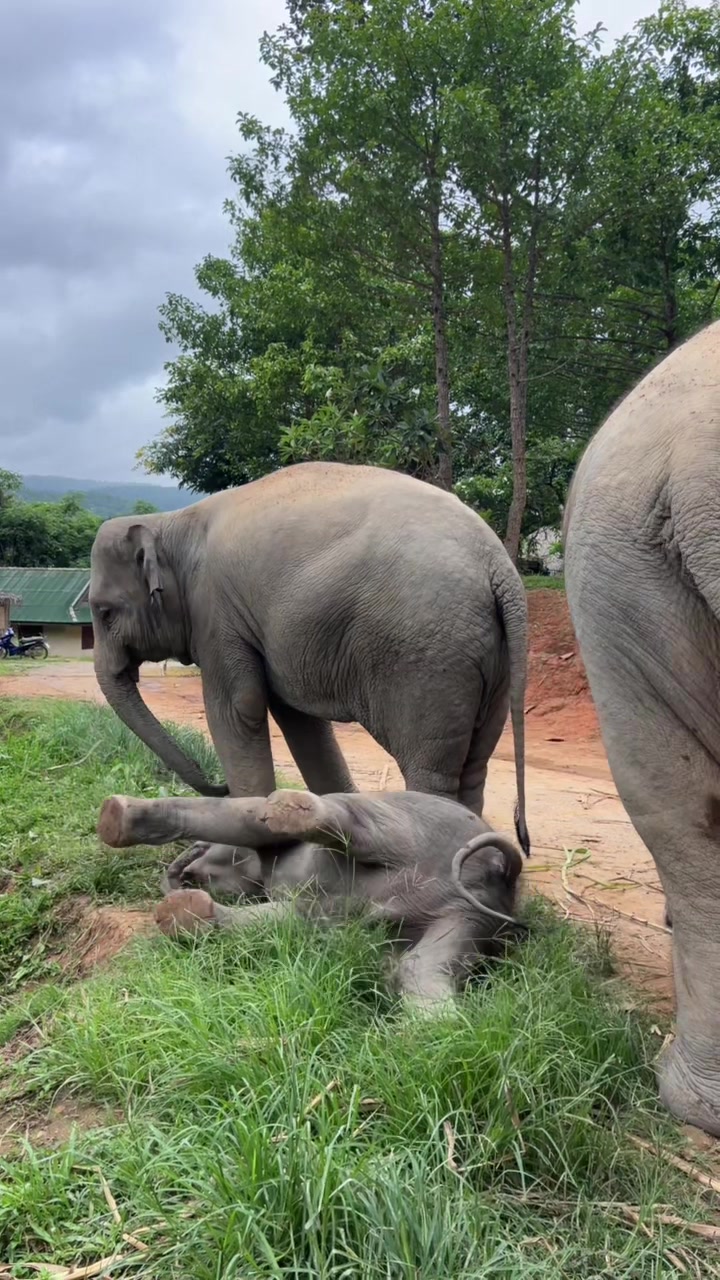 @Sandra
