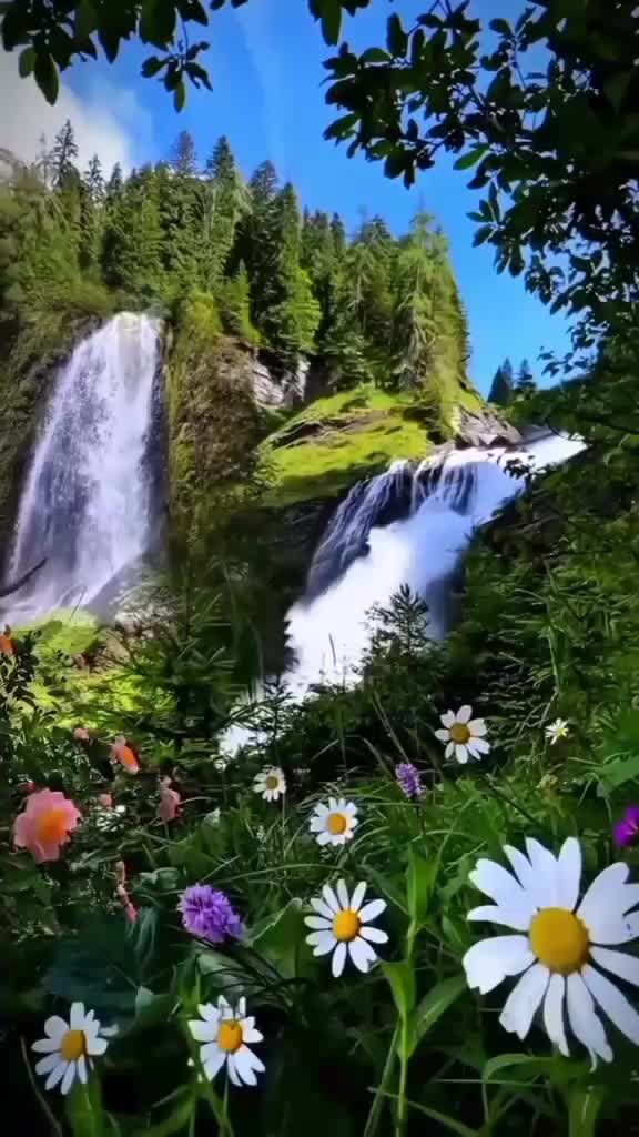 @وتستمر الحياة 🇩🇿🫀