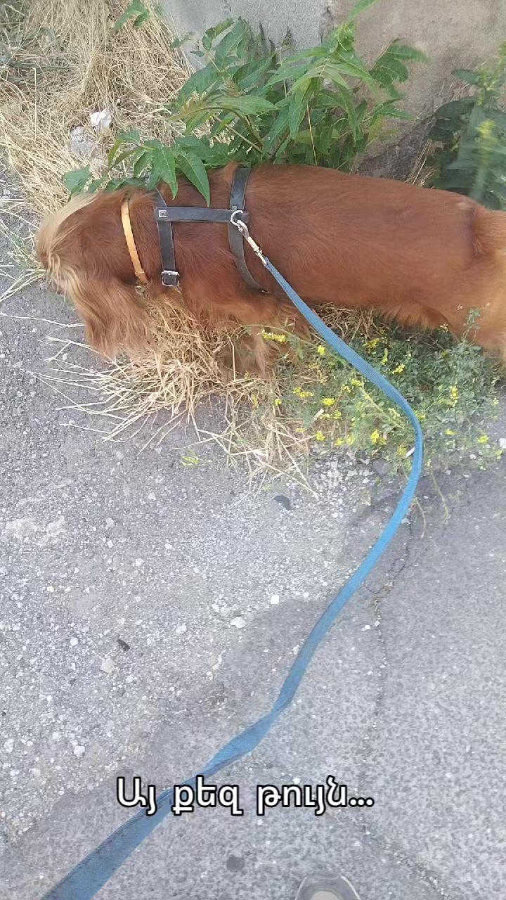 @Артур