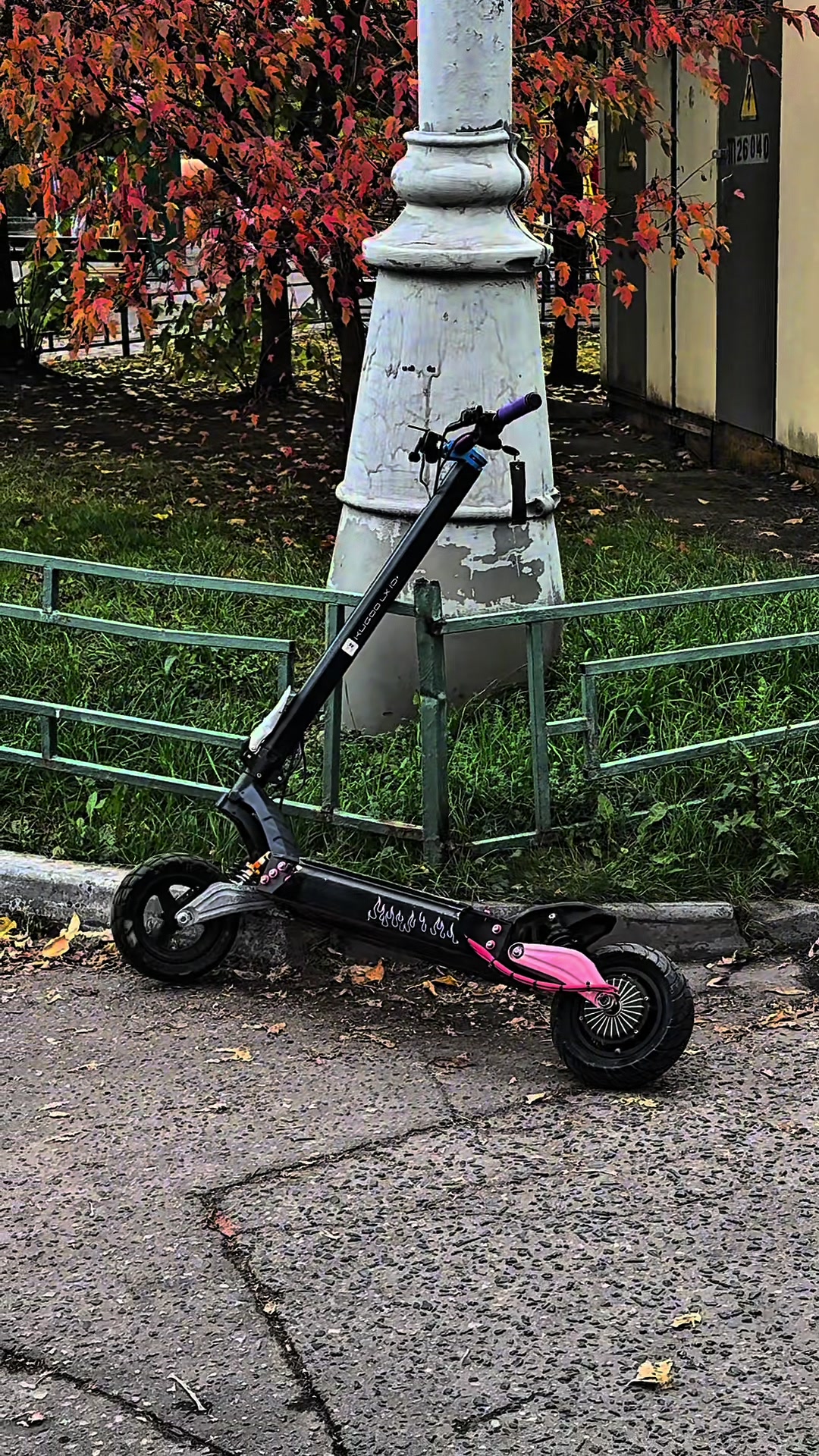 @#NSDнорзсайд