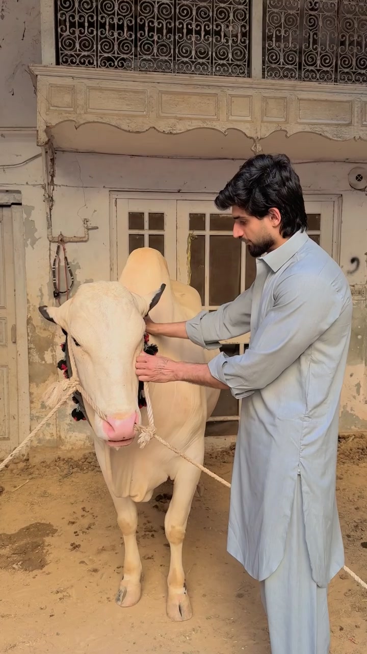 @Sarmad Butt